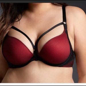Torrid Bra